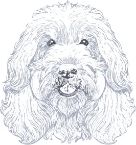 プーリー犬