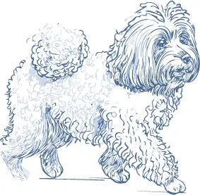 プーリー犬