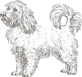 プーリー犬