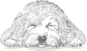 プーリー犬