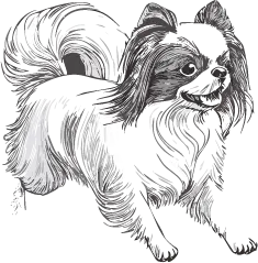 狆（ちん）