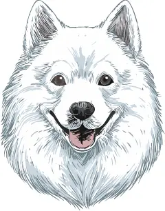アメリカン・エスキモー・ドッグ