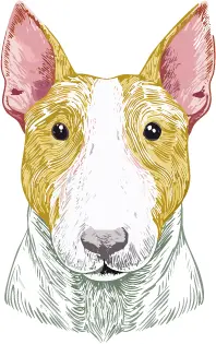 ミニチュア・ブル・テリア